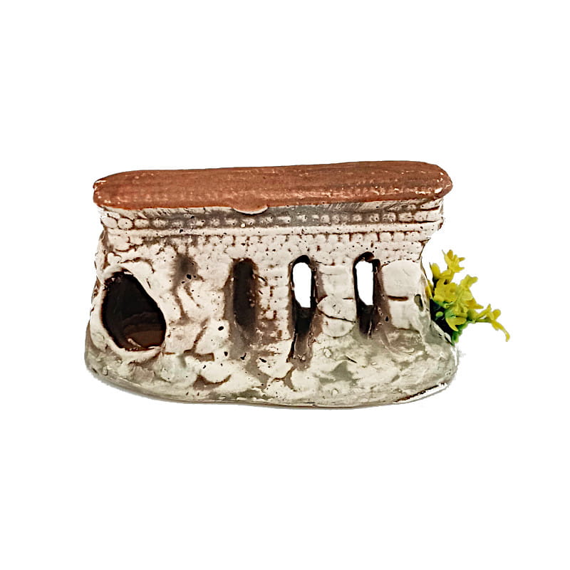 ruiny z sadzonką2.jpg